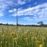  Terreno (Parcela) en venta en Ñuble, Quirihue, Itata, Ñuble