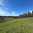  Land for sale in Ranquil, Nuble, Ranquil