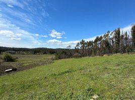  Terreno (Parcela) en venta en Chile, Ránquil, Itata, Ñuble, Chile
