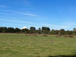  Terreno (Parcela) en venta en Chile, Entre Lagos, Osorno, Los Lagos, Chile