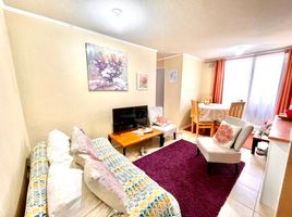 2 Bedroom Apartment for sale in Cordillera, Santiago, Puente Alto, Cordillera