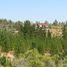  Land for sale in Chile, Cauquenes, Cauquenes, Maule, Chile