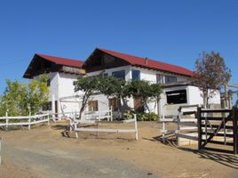  Land for sale in Chile, Cauquenes, Cauquenes, Maule, Chile