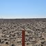 在Atacama出售的 土地, Vallenar, Huasco, Atacama