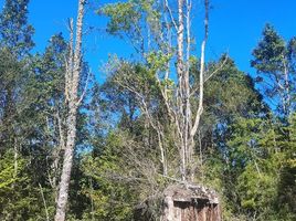  Terrain for sale in Llanquihue, Los Lagos, Puerto Montt, Llanquihue