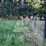  Terreno (Parcela) en venta en Chile, Frutillar, Llanquihue, Los Lagos, Chile