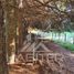  Terreno (Parcela) en venta en Chile, Frutillar, Llanquihue, Los Lagos, Chile