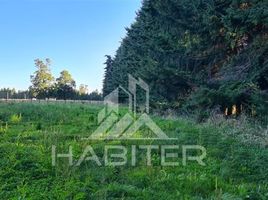  Terreno (Parcela) en venta en Chile, Frutillar, Llanquihue, Los Lagos, Chile