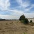  Land for sale in Zapopan, Jalisco, Zapopan, Jalisco