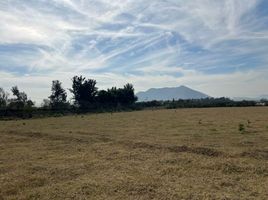  Land for sale in Zapopan, Jalisco, Zapopan, Jalisco