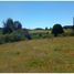  Terrain for sale in Ancud, Chiloe, Ancud