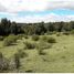  Terrain for sale in Ancud, Chiloe, Ancud
