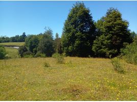  Terrain for sale in Ancud, Chiloe, Ancud