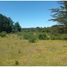  Terrain for sale in Ancud, Chiloe, Ancud