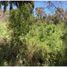  Land for sale in Chile, Coquimbo, Elqui, Coquimbo, Chile