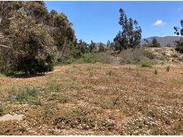  Land for sale in Chile, Coquimbo, Elqui, Coquimbo, Chile