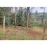  Terreno (Parcela) en venta en Malleco, Araucanía, Traiguen, Malleco
