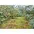  Terreno (Parcela) en venta en Malleco, Araucanía, Traiguen, Malleco