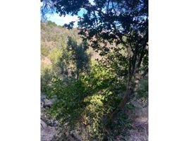  Terreno (Parcela) en venta en Chile, Santo Domingo, San Antonio, Valparaíso, Chile