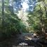  Land for sale in Chile, Pucon, Cautin, Araucania, Chile