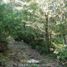  Land for sale in Chile, Pucon, Cautin, Araucania, Chile
