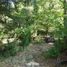 Land for sale in Chile, Pucon, Cautin, Araucania, Chile