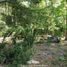  Land for sale in Chile, Pucon, Cautin, Araucania, Chile