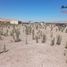  Terreno (Parcela) en venta en Chile, Caldera, Copiapó, Atacama, Chile