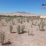  Terreno (Parcela) en venta en Chile, Caldera, Copiapó, Atacama, Chile