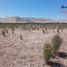  Terreno (Parcela) en venta en Chile, Caldera, Copiapó, Atacama, Chile