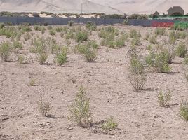  Terreno (Parcela) en venta en Chile, Caldera, Copiapó, Atacama, Chile