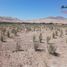  Terreno (Parcela) en venta en Chile, Caldera, Copiapó, Atacama, Chile