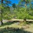  Terrain for sale in Curarrehue, Cautin, Curarrehue