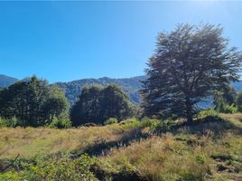  Terrain for sale in Curarrehue, Cautin, Curarrehue
