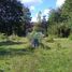  Terrain for sale in Curarrehue, Cautin, Curarrehue