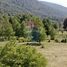  Terreno (Parcela) en venta en Chile, Collipulli, Malleco, Araucanía, Chile