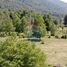  Terreno (Parcela) en venta en Chile, Collipulli, Malleco, Araucanía, Chile