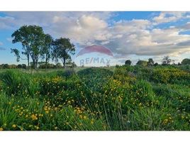  Land for sale in Llanquihue, Los Lagos, Frutillar, Llanquihue