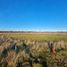  Land for sale in Llanquihue, Los Lagos, Frutillar, Llanquihue