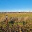  Land for sale in Llanquihue, Los Lagos, Frutillar, Llanquihue