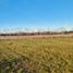  Land for sale in Llanquihue, Los Lagos, Frutillar, Llanquihue