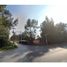  Land for sale in Chacabuco, Santiago, Colina, Chacabuco