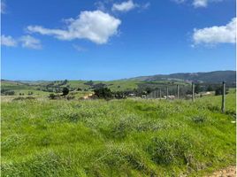  Terreno (Parcela) en venta en Chile, Paredones, Cardenal Caro, Libertador General Bernardo O'Higgins, Chile