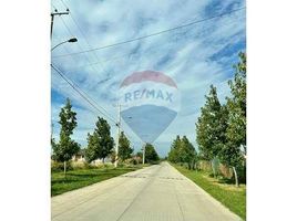  Land for sale in Chile, Requinao, Cachapoal, Libertador General Bernardo Ohiggins, Chile