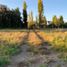  Terreno (Parcela) en venta en Maule, Linares, Linares, Maule