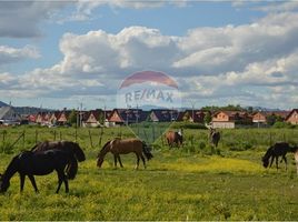  Terreno (Parcela) en venta en Maule, Molina, Curicó, Maule