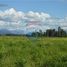  Terreno (Parcela) en venta en Maule, Molina, Curicó, Maule