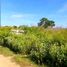  Terreno (Parcela) en venta en Temozon, Yucatán, Temozon