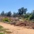  Terreno (Parcela) en venta en Chile, Viña del Mar, Valparaíso, Valparaíso, Chile