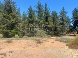  Terreno (Parcela) en venta en Chile, Viña del Mar, Valparaíso, Valparaíso, Chile